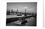 Thames promenade, London by Assaf Frank